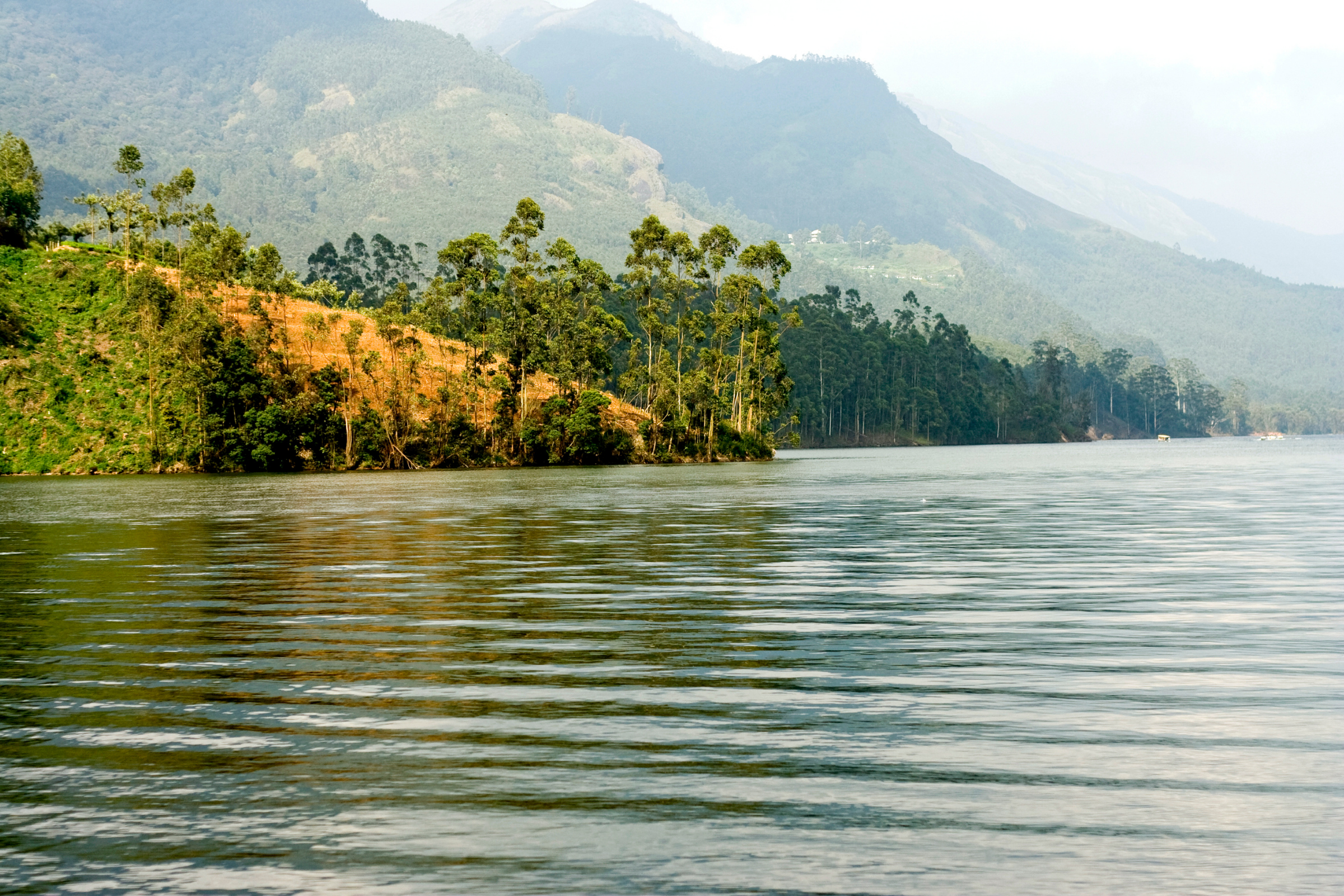 periyar national park (3).webp